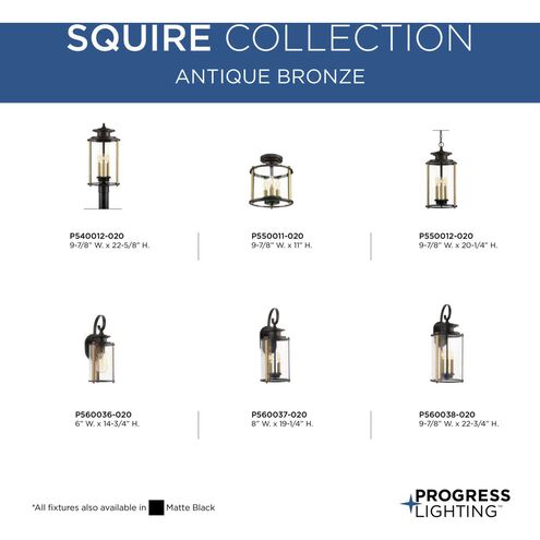 Squire 3 Light 10 inch Antique Bronze Outdoor Semi-Flush Convertible in Antique Bronze and Vintage Brass